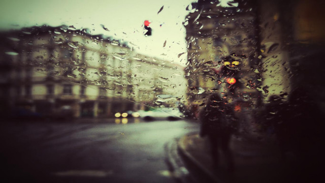 Person walking street rain umbrella free wallpaper for desktop - medium preview image