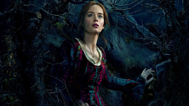 Woman dress forest night creepy free wallpaper for desktop - medium preview image