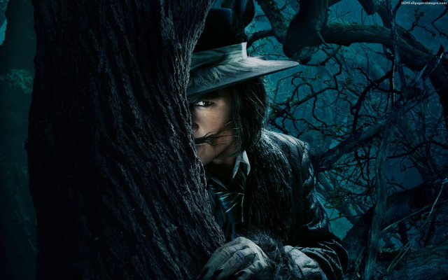 Man hat coat hiding tree free wallpaper for desktop - medium preview image