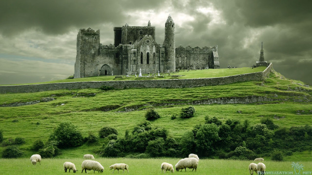 Castle sheep grazing hillside background free wallpaper for desktop - medium preview image