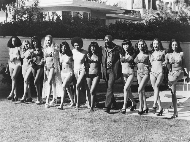 Women bathing suits wall house free wallpaper for desktop - medium preview image