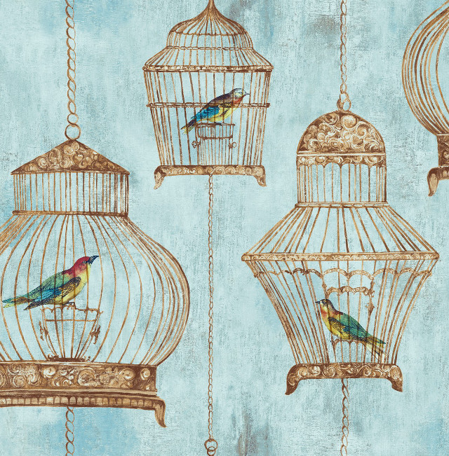 Blue wall bird cage side free wallpaper for tablet - medium preview image