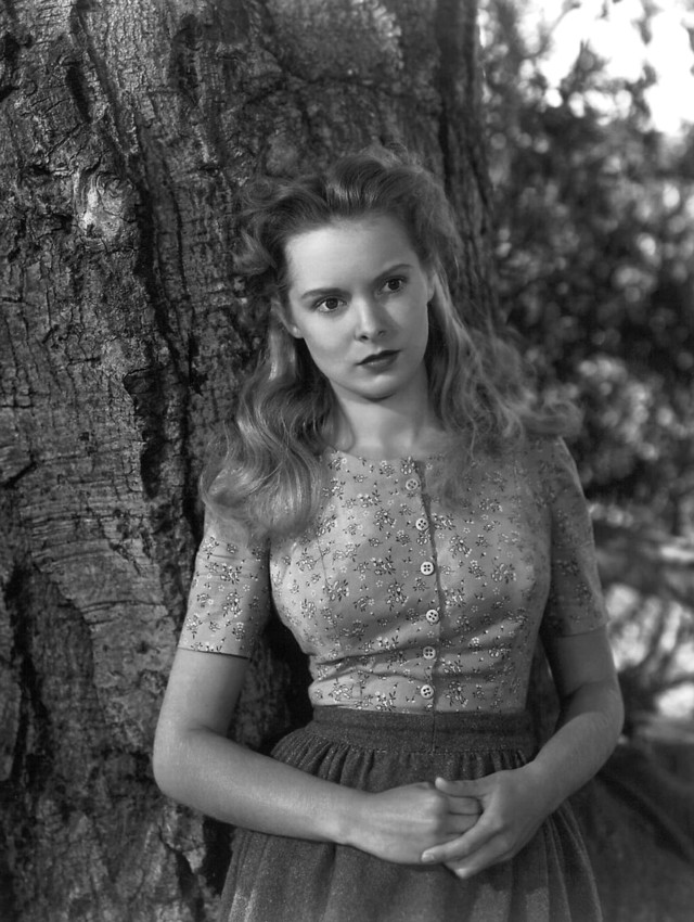 Woman tree dress hat hand free wallpaper for mobile - medium preview image