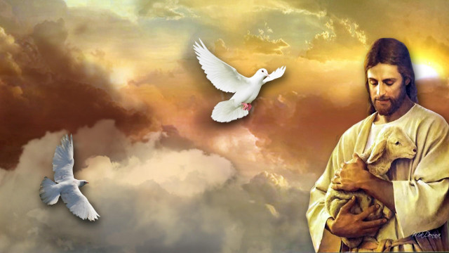 Man holding dog dove flying #2 free wallpaper for desktop - medium preview image