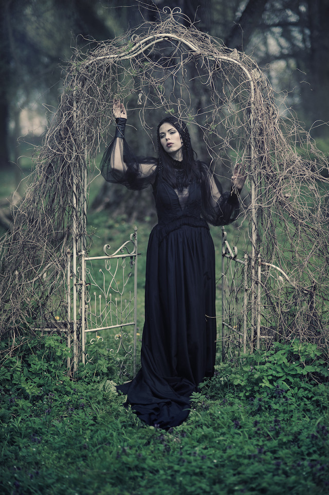 Woman black dress field vines free wallpaper for mobile - medium preview image