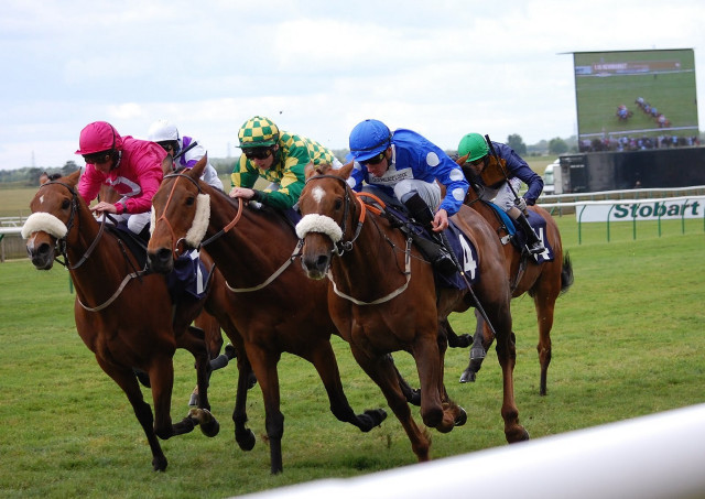 Horse race crowd sky track free wallpaper for desktop - medium preview image