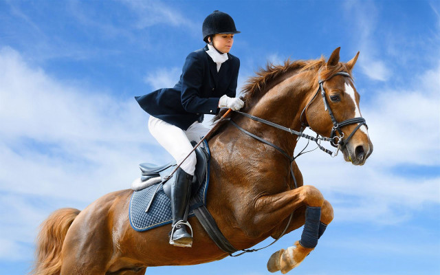 Woman riding horse air sky free wallpaper for desktop - medium preview image