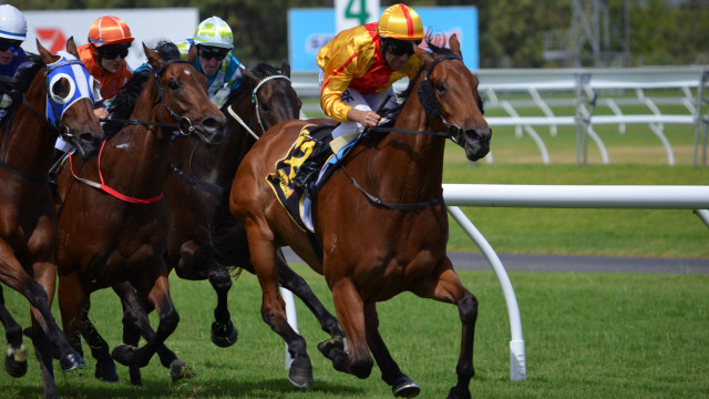 Jockeys horses racing track grass free wallpaper for desktop - medium preview image