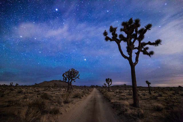 Dirt road tree stars sky free wallpaper for desktop - medium preview image