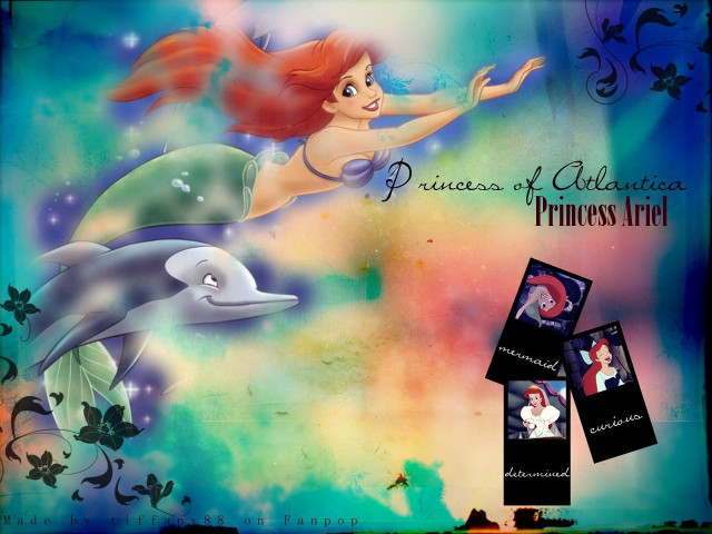 Mermaid dolphin princess sea back free wallpaper for desktop - medium preview image