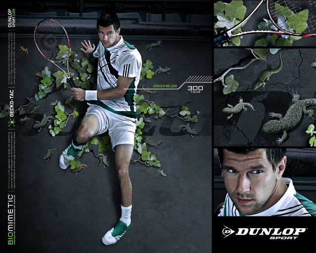 Man tennis racquet court ivy free wallpaper for desktop - medium preview image