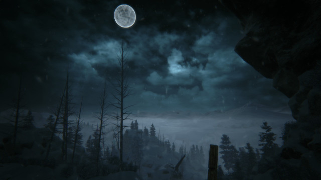 Full moon snowy forest night #2 free wallpaper for desktop - medium preview image