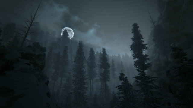 Full moon forest night fog free wallpaper for desktop - medium preview image