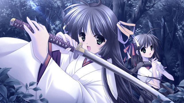 Anime characters swords forest trees free wallpaper for desktop - medium preview image