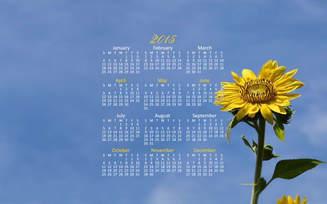 Sunflower blue sky calendar month free wallpaper for desktop - medium preview image