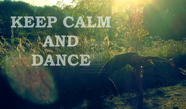 Horse keep calm dance sunshine free wallpaper for desktop - medium preview image