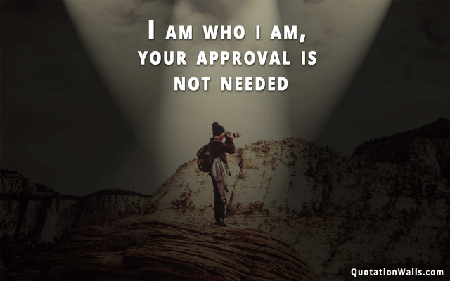 Man rock light quote standing free wallpaper for desktop - medium preview image