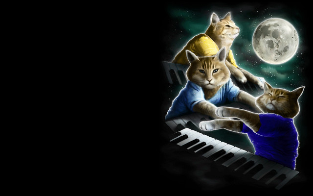 Cat piano two cats full free wallpaper for desktop - medium preview image