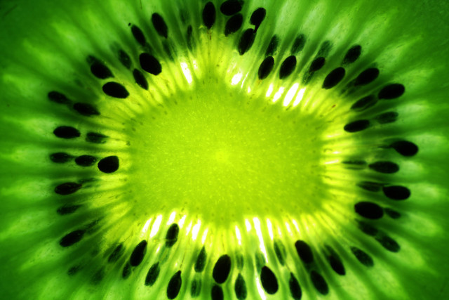 Kiwi fruit green center black free wallpaper for desktop - medium preview image