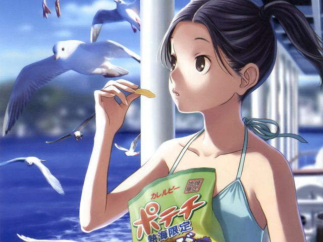Girl water seagulls flying bag free wallpaper for desktop - medium preview image