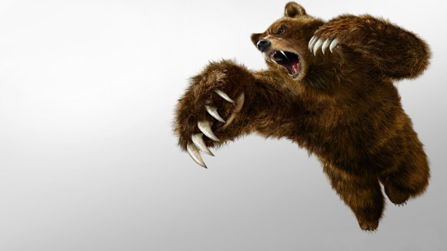 Bear claws air mouth wide free wallpaper for desktop - medium preview image