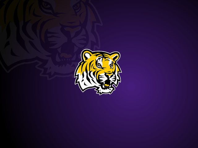 Tiger head purple background black #2 free wallpaper for desktop - medium preview image