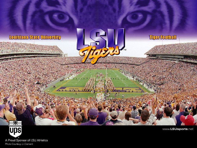 Tiger eye football stadium face #2 free wallpaper for desktop - medium preview image