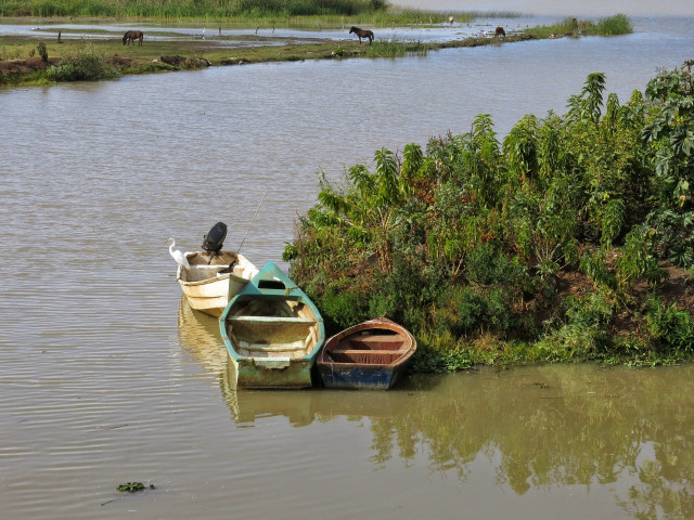 Boat river small boat horse free wallpaper for desktop - medium preview image
