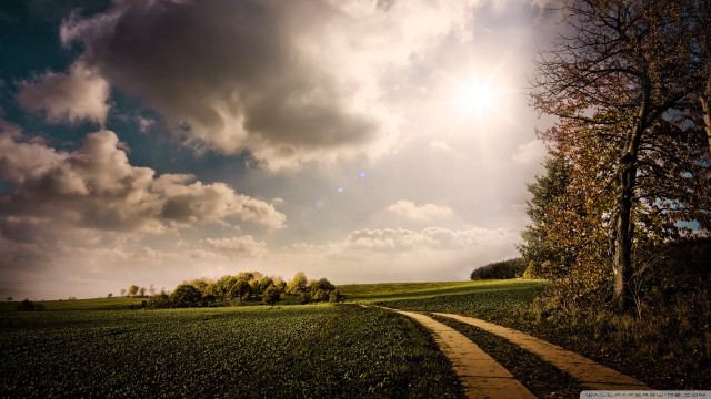 Path field tree sun clouds free wallpaper for desktop - medium preview image