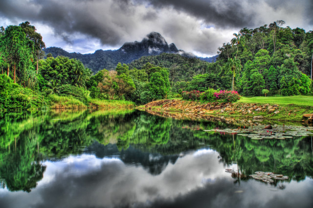 Lake trees mountain clouds foreground free wallpaper for desktop - medium preview image