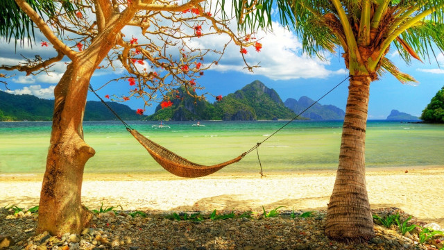 Hammock palm trees beach ocean #2 free wallpaper for desktop - medium preview image