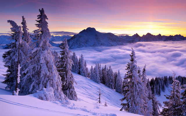 Snowy mountain trees clouds sunset free wallpaper for desktop - medium preview image