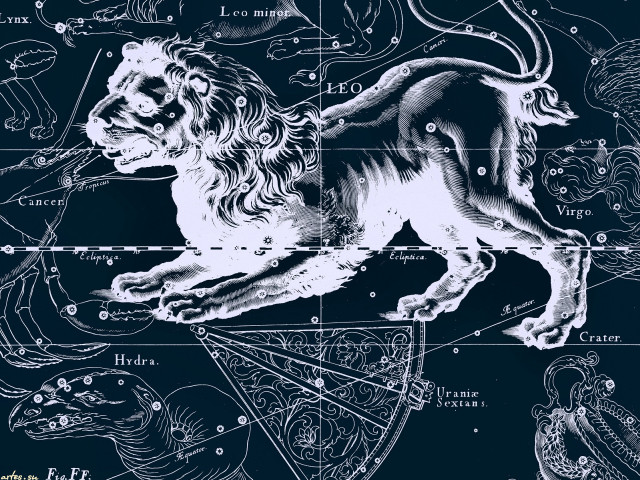 Zodiac lion numbers sign image free wallpaper for desktop - medium preview image