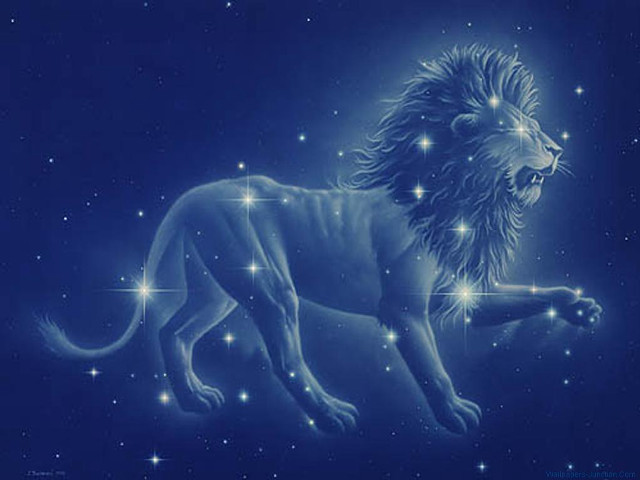 Lion stars blue sky foreground free wallpaper for desktop - medium preview image