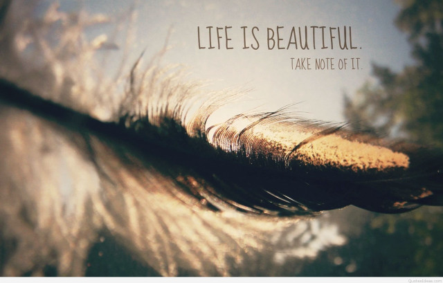 Feather quote life beautiful take free wallpaper for desktop - medium preview image