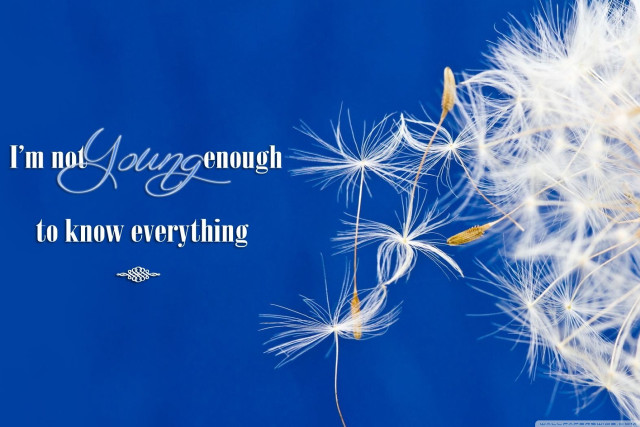 Dandelion quote im not going free wallpaper for desktop - medium preview image