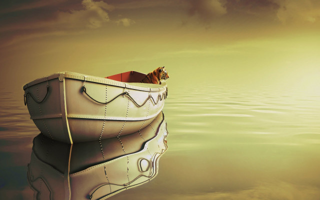 Cat boat water sun cloudy free wallpaper for desktop - medium preview image