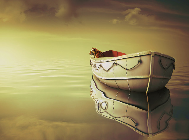 Cat boat floating water sky free wallpaper for desktop - medium preview image