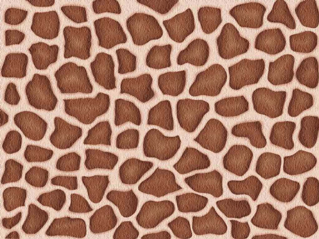 Giraffe rock pattern brown white free wallpaper for desktop - medium preview image