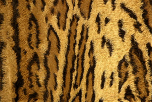 Tiger print fur closeup black free wallpaper for desktop - medium preview image