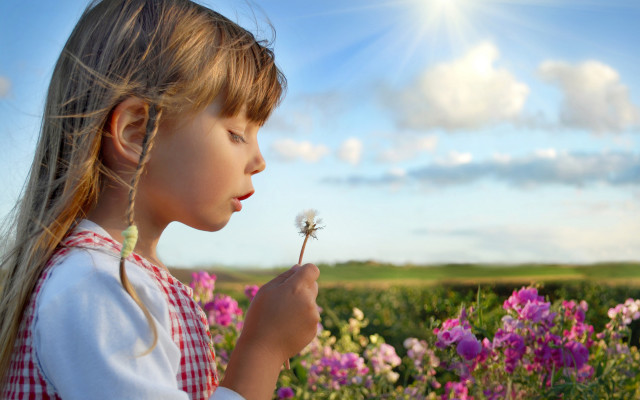 Little girl blowing dandelion field free wallpaper for desktop - medium preview image