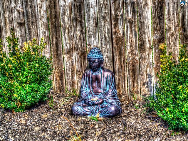 Buddha garden fence shrubbery cityscape free wallpaper for desktop - medium preview image