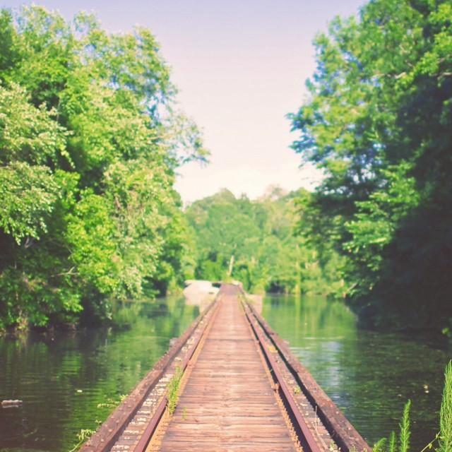 Wooden bridge river trees bushes free wallpaper for tablet - medium preview image