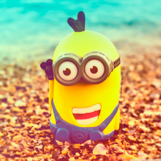Yellow toy glasses beach rocks free wallpaper for tablet - medium preview image