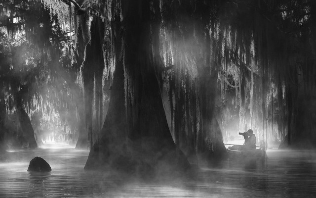 Man boat swamp trees fog free wallpaper for desktop - medium preview image