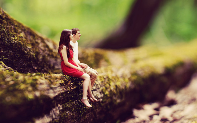 Miniature girl sitting mossy log free wallpaper for desktop - medium preview image
