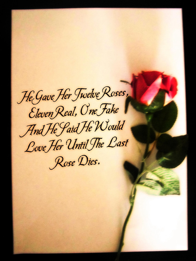 Rose paper poem written on free wallpaper for mobile - medium preview image