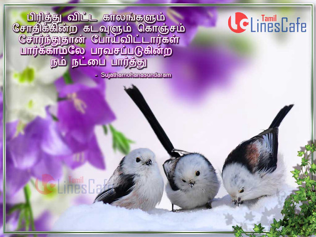 Three birds snow covered ground free wallpaper for desktop - medium preview image