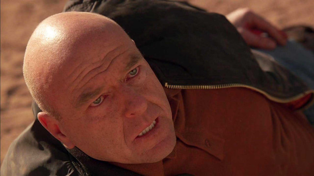 Bald man laying ground jacket free wallpaper for desktop - medium preview image