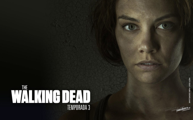 Woman serious look walking dead free wallpaper for desktop - medium preview image